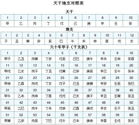 1981年11月7日 112年 天干地支